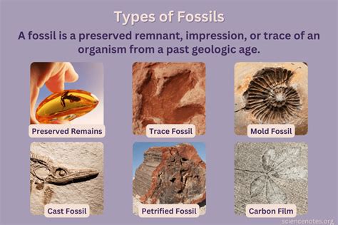 fossil-based